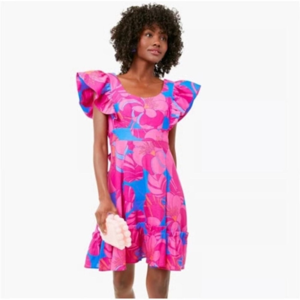 Tuckernuck Vibrant Pink and Blue Ruffle Mini Dress - Cameron Eubanks -  Medium - Picture 2 of 6